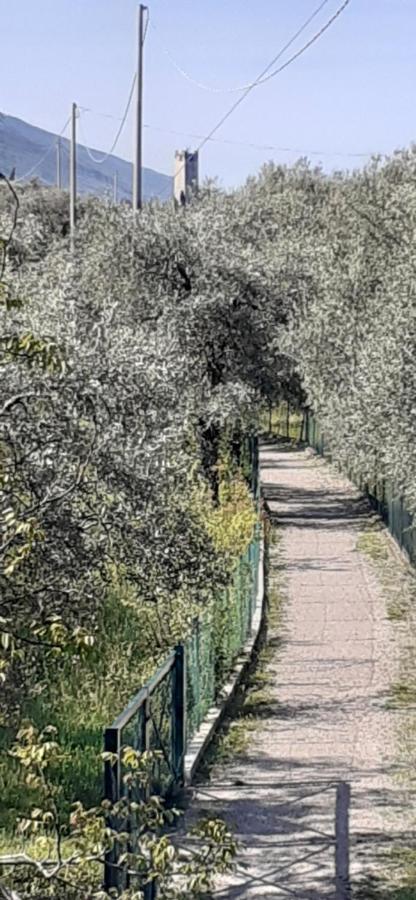 Appartamento Leccino Malcesine Bagian luar foto